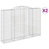 Arched Gabion Baskets 2 pcs 300x50x200/220 cm Galvanised Iron