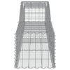 Arched Gabion Baskets 2 pcs 400x50x40/60 cm Galvanised Iron