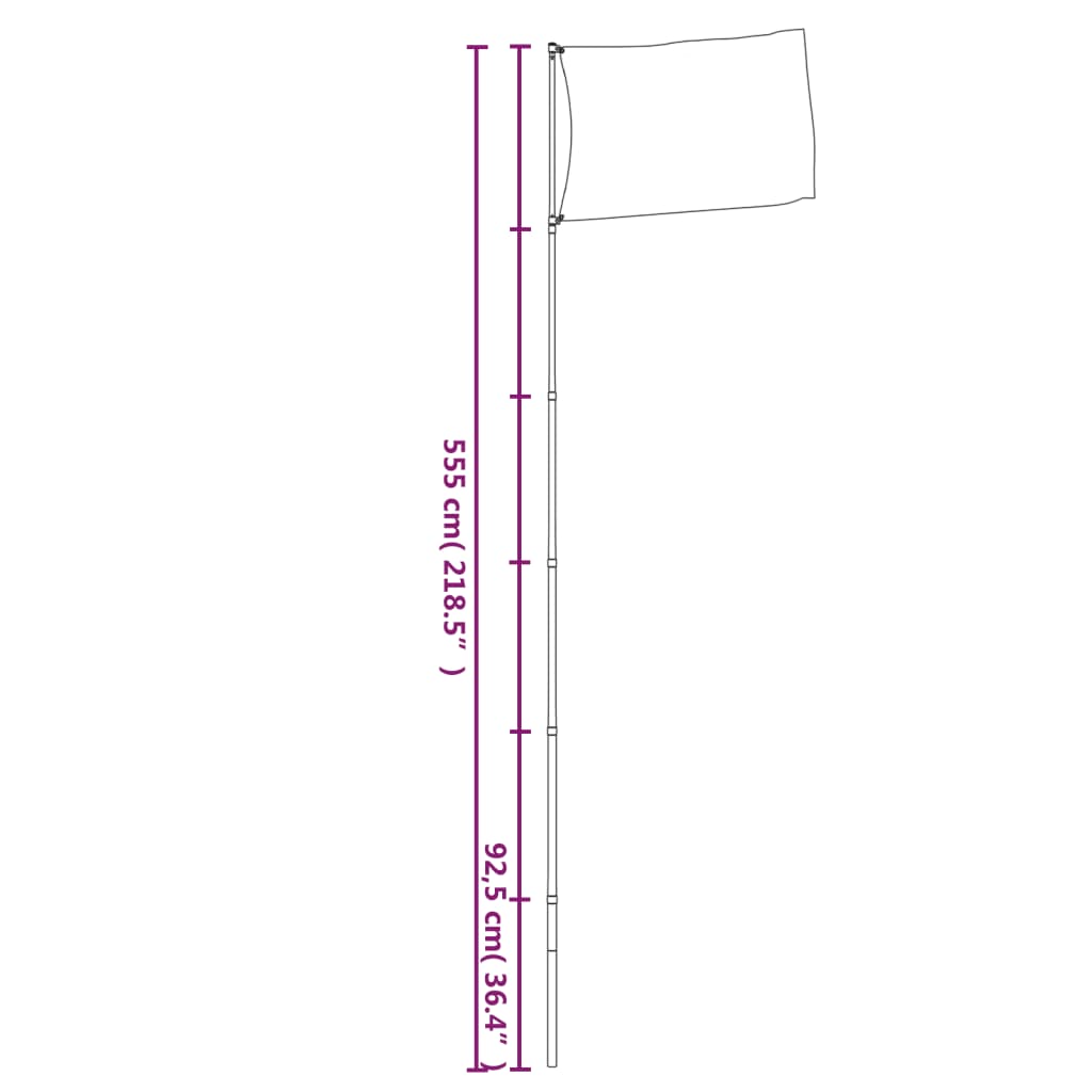 Telescopic Flagpole Silver 5.55 m Aluminium