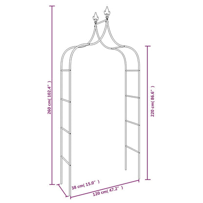 vidaXL Garden Arch Black Powder-coated Steel Large Decorative Inlays