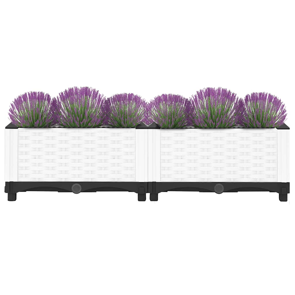 Raised Bed 80x40x23 cm Polypropylene