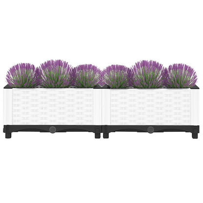 Raised Bed 80x40x23 cm Polypropylene