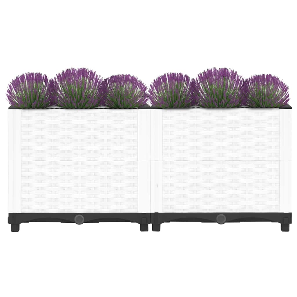Raised Bed 80x40x38 cm Polypropylene