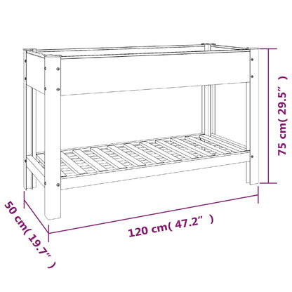 Garden Raised Bed with Shelf Grey 120x50x75 cm WPC