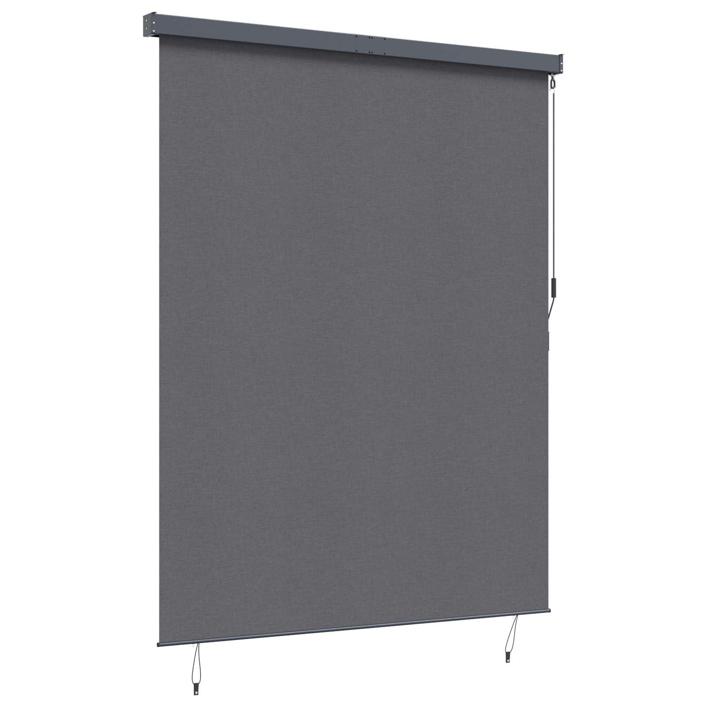 Roller Blind Anthracite 220 x 250 cm Fabric and Aluminum