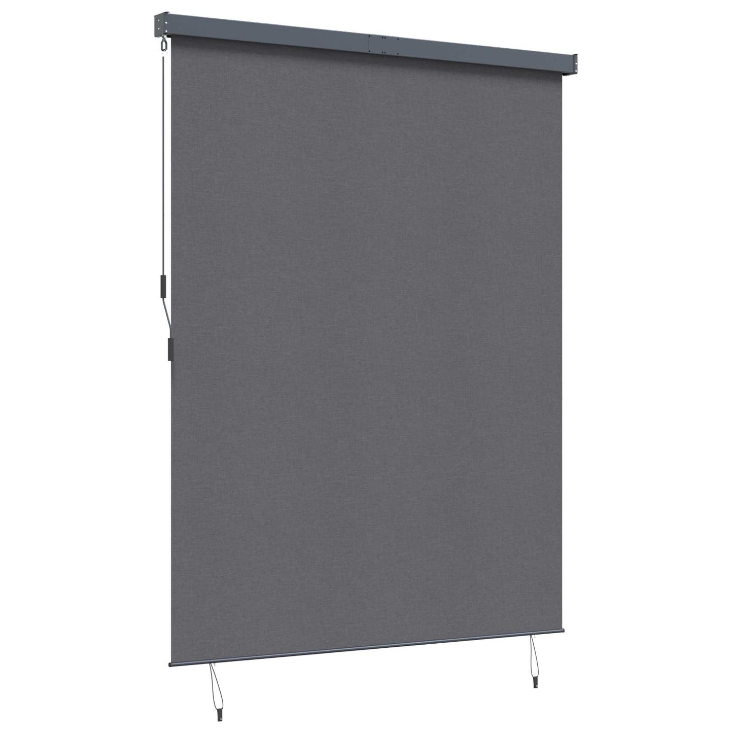 Roller Blind Anthracite 220 x 250 cm Fabric and Aluminum
