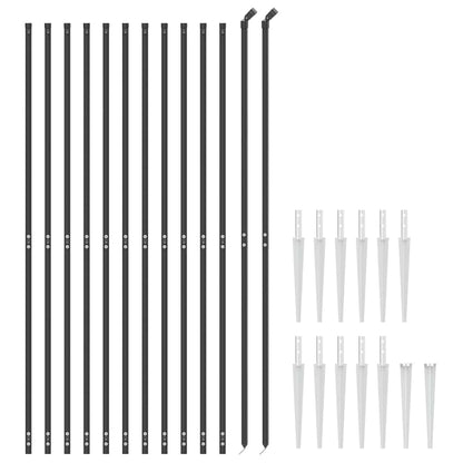 Chain Link Fence with Spike Anchors Anthracite 2x25 m