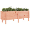 Garden Raised Bed 160x50x57 cm Solid Wood Douglas