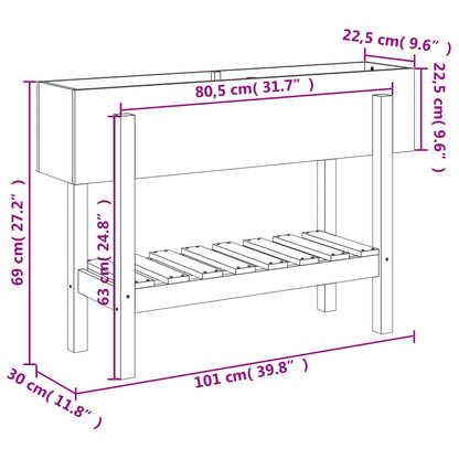 Garden Raised Bed Black 101x30x69 cm Solid Wood Pine