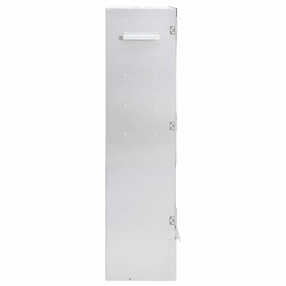 BBQ Oven Smoker with Wood Chips 44.5x29x110 cm Galvanised steel