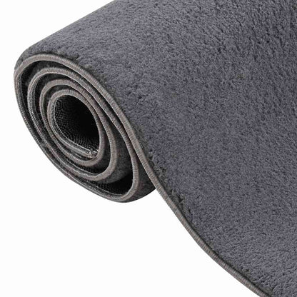 Shaggy Rug Anthracite 200x275 cm Polyester