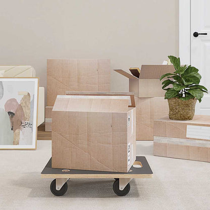 Transport Trolleys 2 pcs Rectangular 50x35x11.5 cm