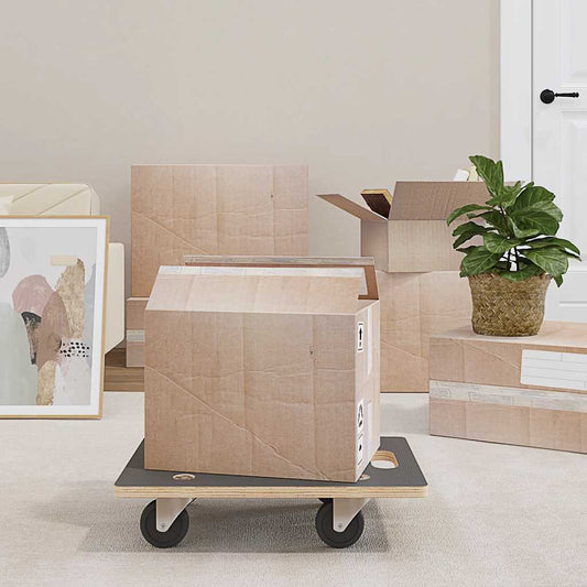 Transport Trolleys 2 pcs Rectangular 50x35x11.5 cm