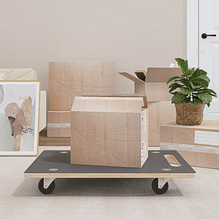 Transport Trolleys 2 pcs Rectangular 80x55x11.5 cm