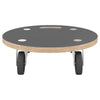 Transport Trolleys 2 pcs Round Ø38x11.5 cm