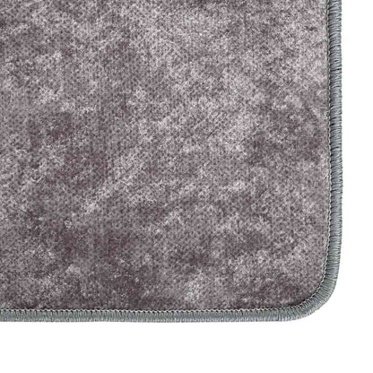 Rug Washable Grey 400x300 cm