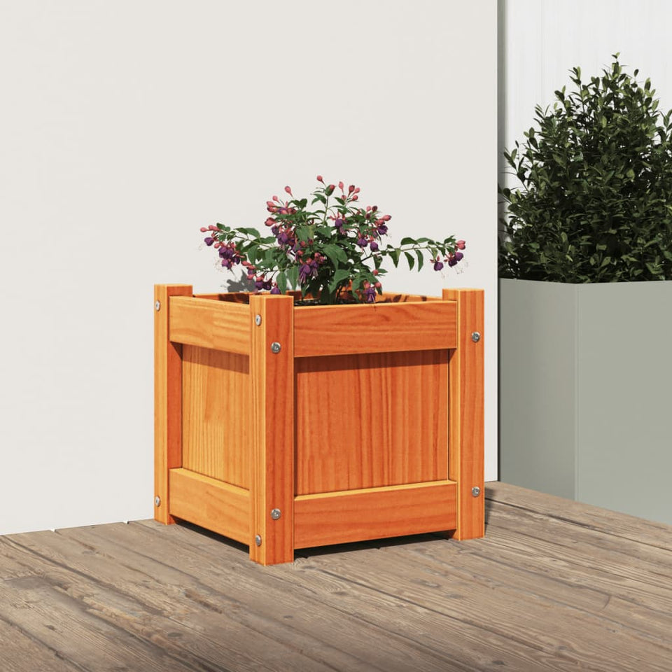 Garden Planter Wax Brown 31x31x31 cm Solid Wood Pine