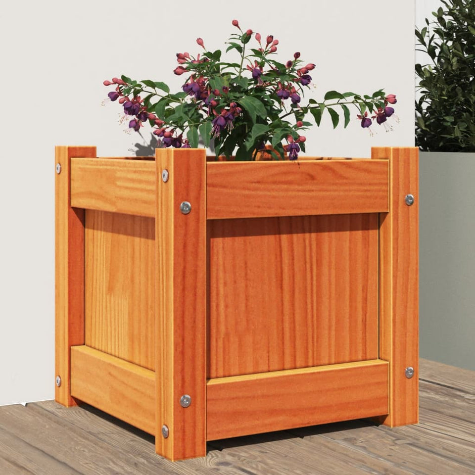 Garden Planter Wax Brown 31x31x31 cm Solid Wood Pine