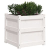 Garden Planter White 19.7"x19.7"x19.7" Solid Wood Pine