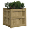 Garden Planters 2 pcs Impregnated Wood Pine
