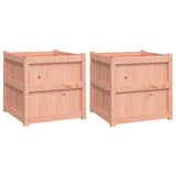 Garden Planters 2 pcs Solid Wood Douglas