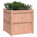 Garden Planters 2 pcs Solid Wood Douglas