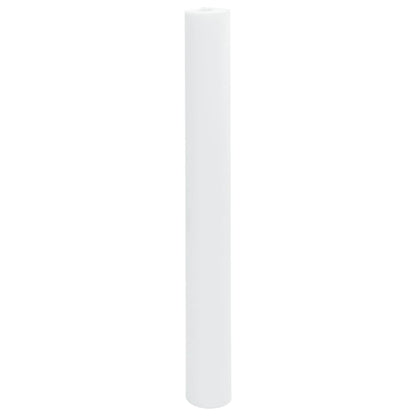Plant Fleece 2 Rolls 70 g/m² 10x1.6 m