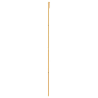 Sliding Door Gold 102.5x205 cm Clear ESG Glass and Aluminium