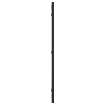 Wall Mirror Black 40x80 cm Rectangle Iron
