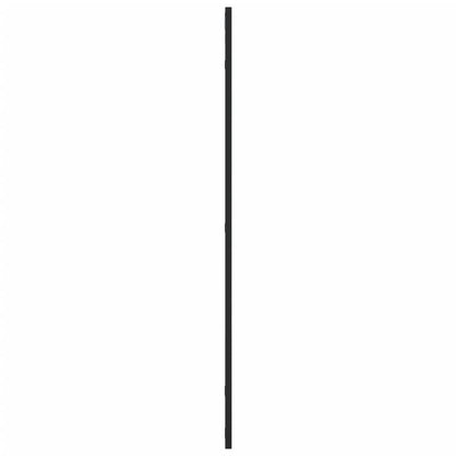 Wall Mirror Black 50x100 cm Rectangle Iron