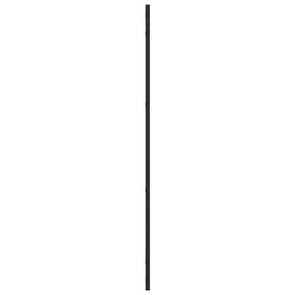Wall Mirror Black 50x100 cm Rectangle Iron