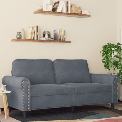 2-seater Sofa Dark Gray Velvet (100% polyester), Metal, Foam