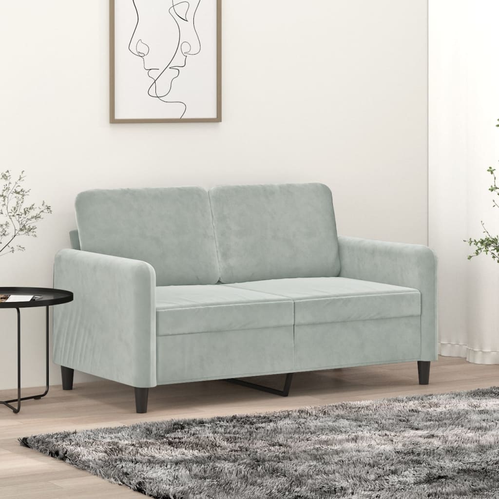 2-seater Sofa Light Grey Velvet (100% polyester), metal, foam