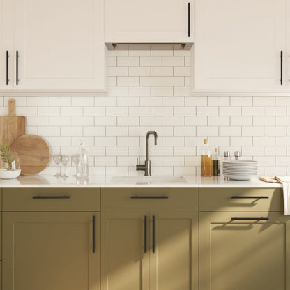Cabinet Handles 20 pcs Black 160 mm Stainless Steel