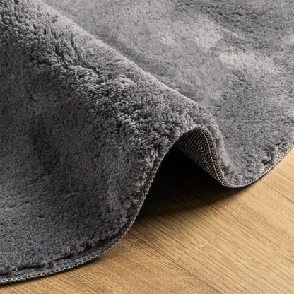 Rug HUARTE Short Pile Soft and Washable Anthracite Ø 200 cm