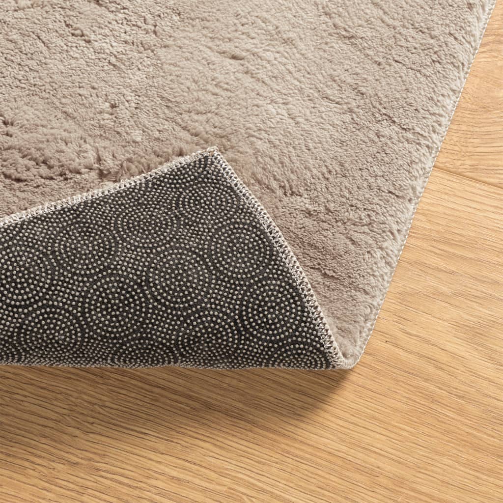 Rug HUARTE Short Pile Soft and Washable Sand 80x150 cm