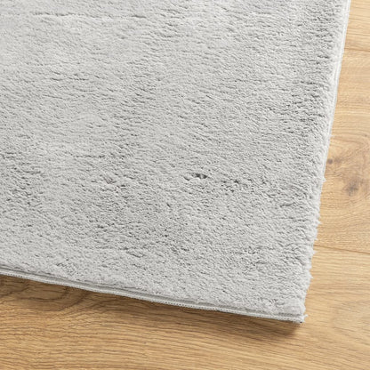 Rug HUARTE Short Pile Soft and Washable Grey 80x150 cm