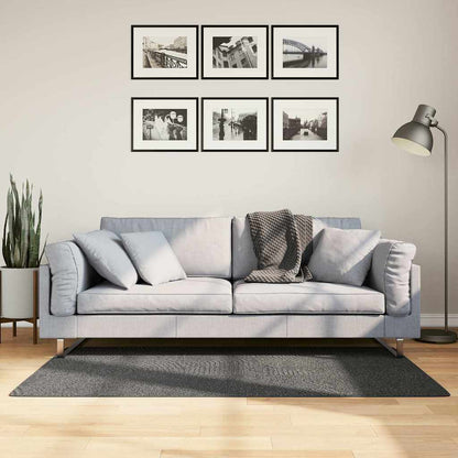 Rug IZA Short Pile Scandinavian Look Anthracite 80x150 cm