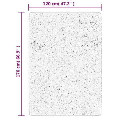 Rug ISTAN High Pile Shiny Look Anthracite 120x170 cm