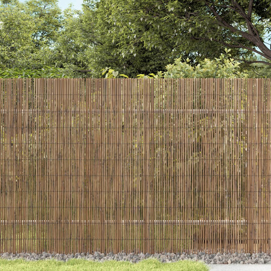 Garden Fence 600x100 cm Reed