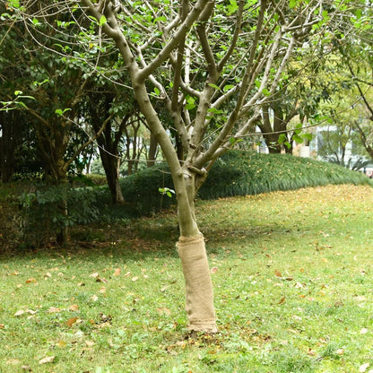 Jute Roll 0,5x5 m 100% Jute 200 gsm