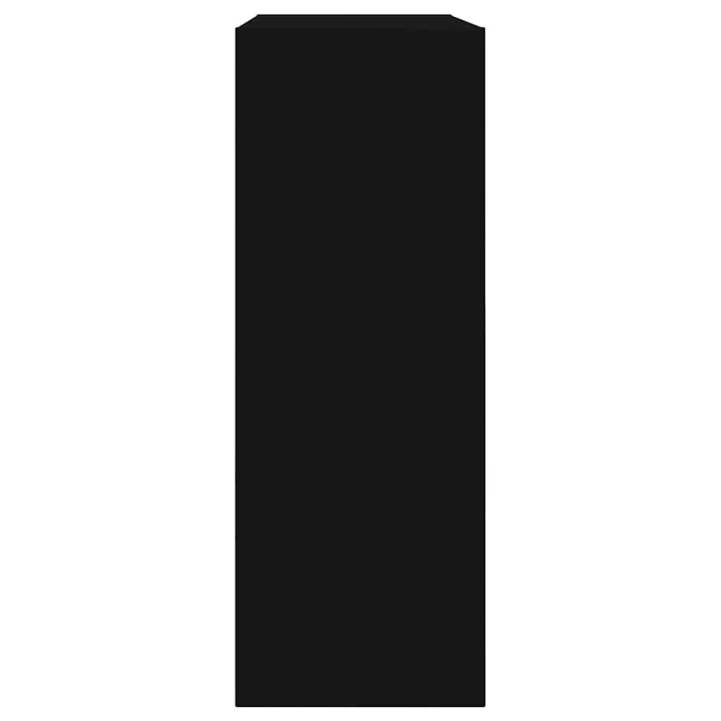 Shoe Cabinet | Black | Engineered Wood | Compact | Shoe Cabinet