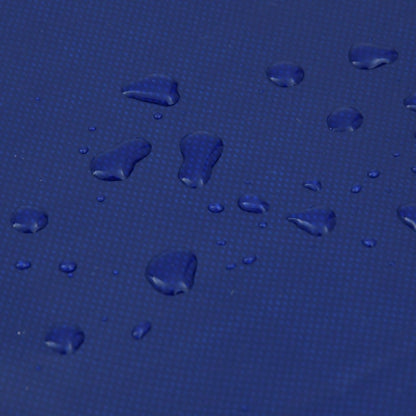 Tarpaulin Blue 5x8 m 650 g/m²