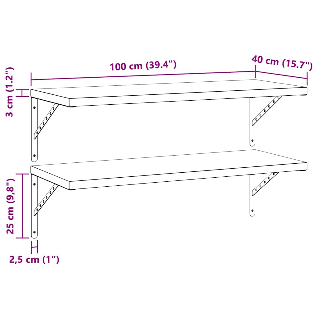 Wall Shelves 2 pcs 100x40 cm Black Stainless Steel
