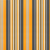 Replacement Fabric for Awning Multicolour Stripe 3.5x2.5 m
