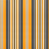 Replacement Fabric for Awning Multicolour Stripe 5x3 m