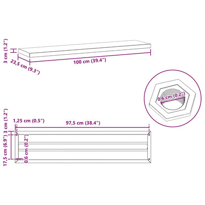 Wall Shelves 2 pcs 100x23.5 cm Silver Stainless Steel