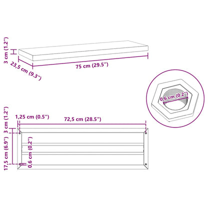 Wall Shelves 2 pcs 75x23.5 cm Silver Stainless Steel