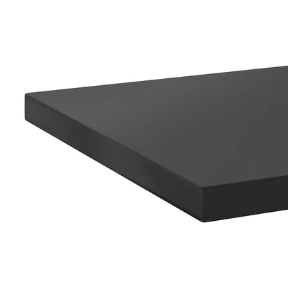 Wall Shelves 2 pcs 100x30 cm Black Stainless Steel