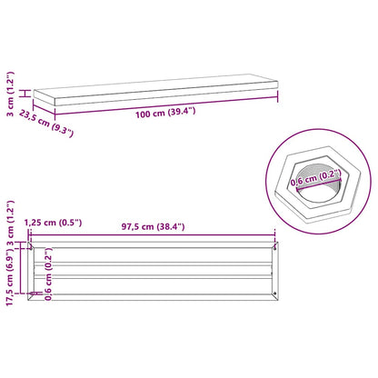 Wall Shelves 2 pcs 100x23.5 cm Black Stainless Steel